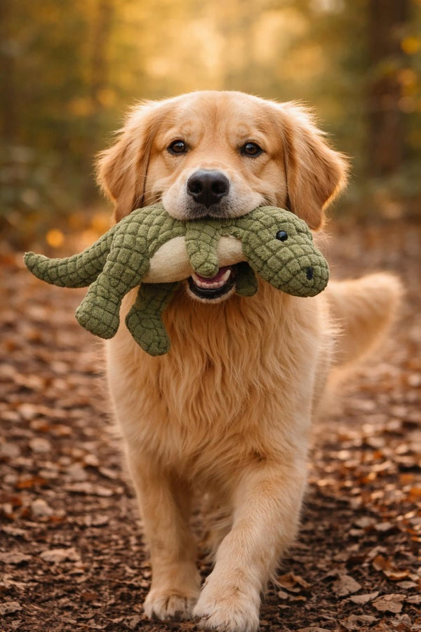 Bewertung von Max M.